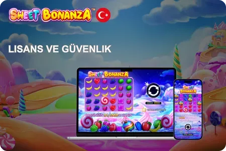 Lisans ve Güvenlik